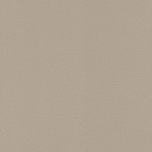 oboi-555868-rasch-natural-colors