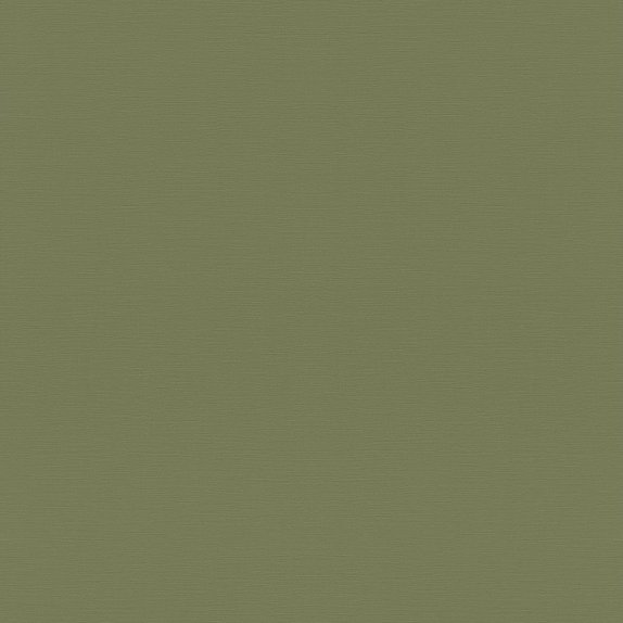 oboi-687538-rasch-tropical-house