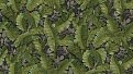 oboi-2201-6-rdt-alessandro-allori-breeze