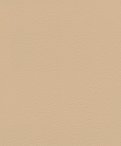 oboi-752694-rasch-african-queen-iii