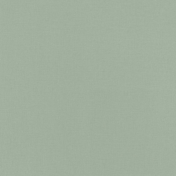 oboi-537901-rasch-salsa