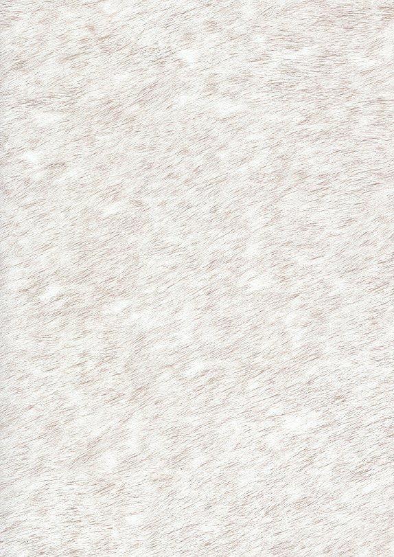 2s-1301