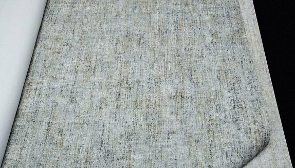 oboi-917017-rasch-axiom