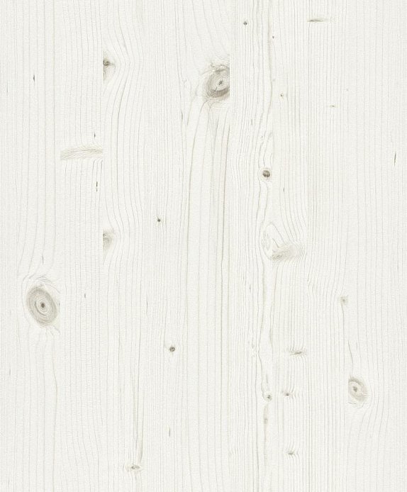 oboi-606232-rasch-passepartout