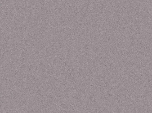 oboi-bn-220503-bn-international-grand-safari