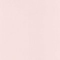 oboi-64524040-caselio-flower-power