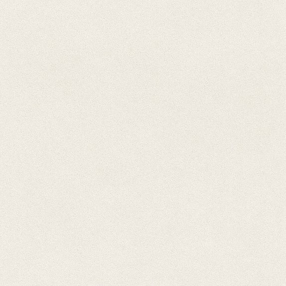 oboi-607239-rasch-passepartout