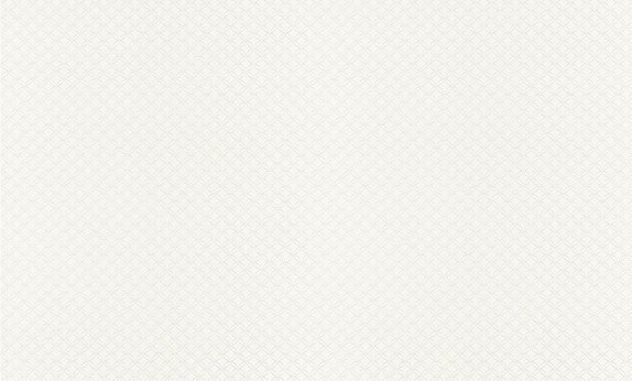 oboi-124316-rasch-wallton-premium