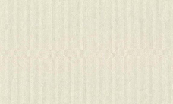 oboi-965018-rasch-magnolia