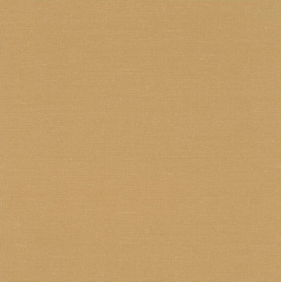 oboi-449150-rasch-denzo-2