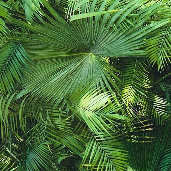 oboi-36200-1-as-creation-neue-bude-20