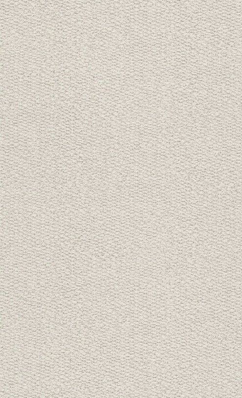 oboi-bn-219940-bn-international-riviera-maison-2