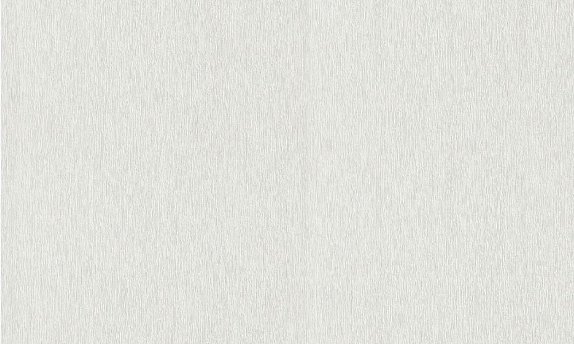 oboi-124910-rasch-wallton-premium
