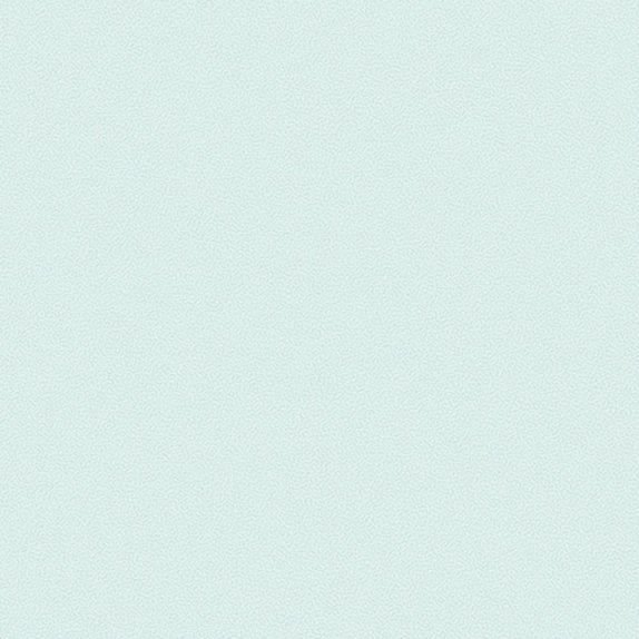 oboi-54310-5-andrea-rossi-gallinara