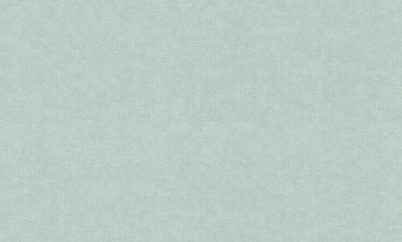 oboi-965049-rasch-magnolia