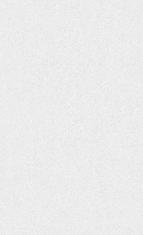 oboi-bn-219855-bn-international-material-world