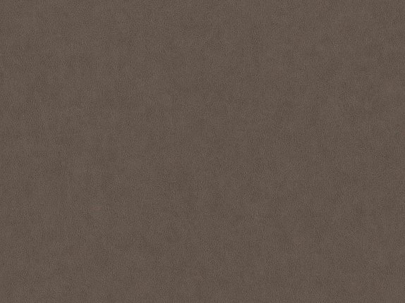 oboi-bn-220509-bn-international-grand-safari