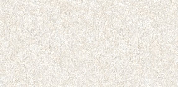 oboi-54244-1-andrea-rossi-asinara