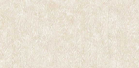 oboi-54244-3-andrea-rossi-asinara