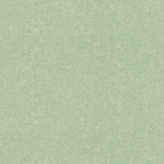 oboi-rh554472-rasch-excellent