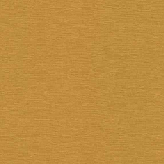 oboi-452075-rasch-salsa