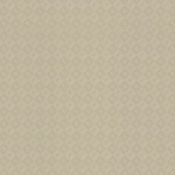 oboi-806144-rasch-new-maximum