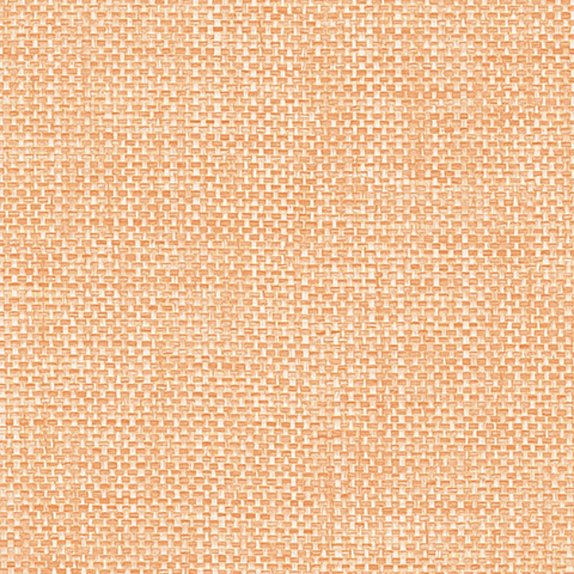 oboi-54317-5-andrea-rossi-gallinara