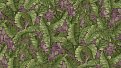 oboi-2201-9-rdt-alessandro-allori-breeze
