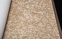 oboi-2209-4-rdt-alessandro-allori-breeze