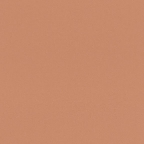 oboi-807608-rasch-salsa