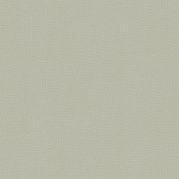 oboi-920659-rasch-varvara