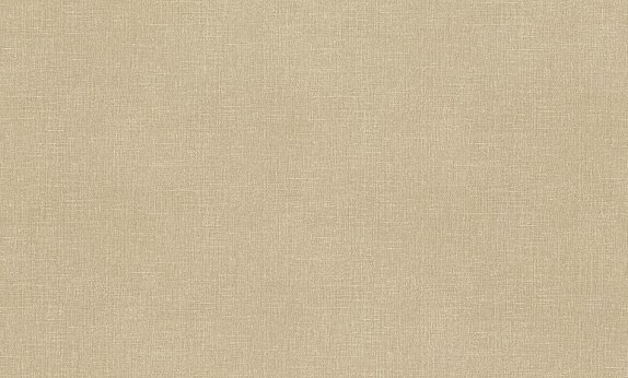 oboi-959543-rasch-maximum-xv