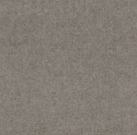 oboi-551792-rasch-kerala