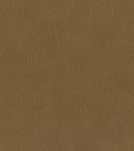 oboi-751079-rasch-african-queen-iii