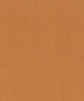 oboi-746099-rasch-indian-style