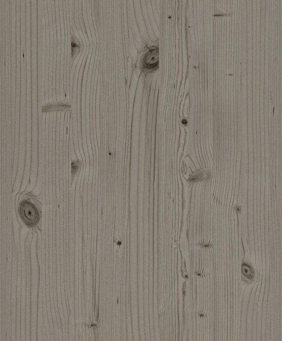 oboi-606270-rasch-passepartout