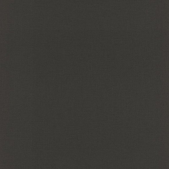 oboi-531398r-rasch-amazing