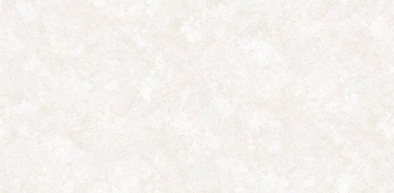 oboi-54243-1-andrea-rossi-asinara