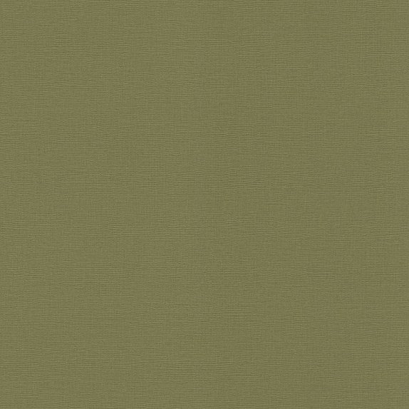 oboi-452068-rasch-salsa