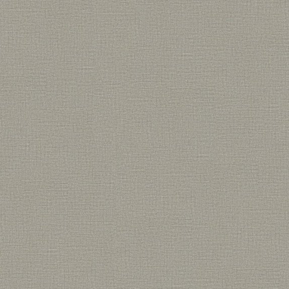 oboi-920673-rasch-varvara