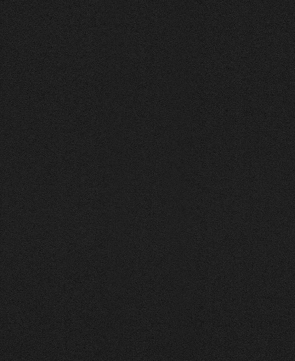 oboi-610376-rasch-denzo-2