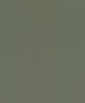 oboi-752687-rasch-african-queen-iii
