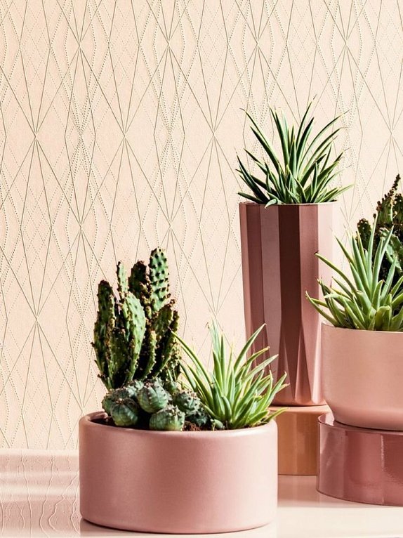 oboi-36879-7-as-creation-emotion-graphic