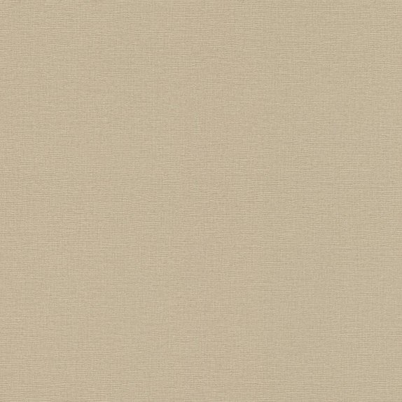 oboi-449815-rasch-salsa