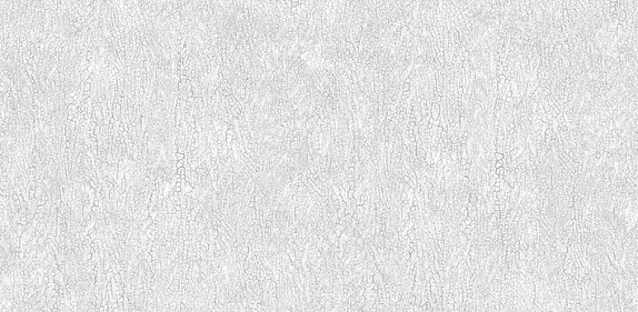 oboi-54244-2-andrea-rossi-asinara