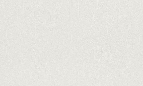 oboi-124514-rasch-wallton-premium