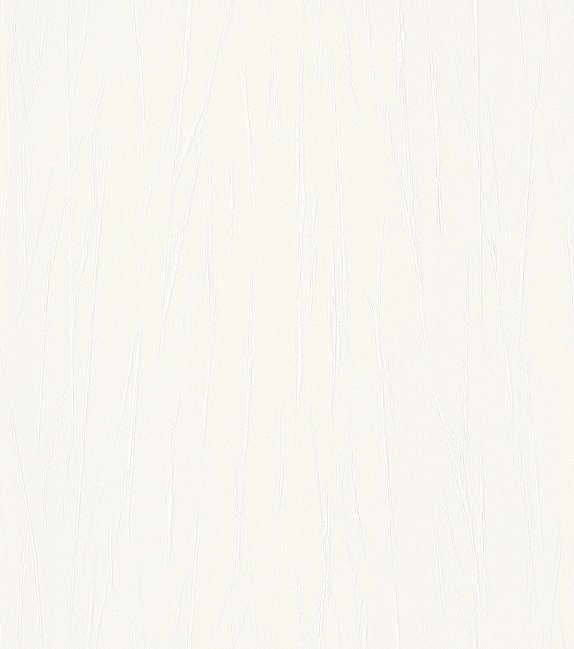 oboi-605907-rasch-passepartout
