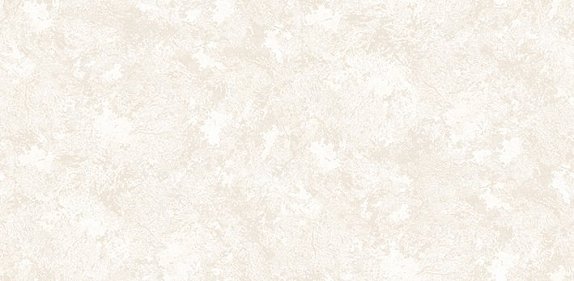 oboi-54243-3-andrea-rossi-asinara