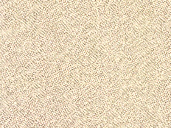 oboi-3443-zambaiti-parati-trussardi-3