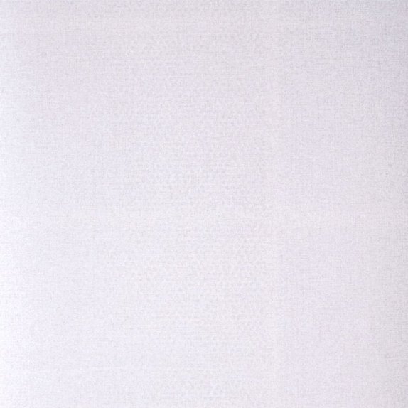 oboi-228761-rasch-textil-palau